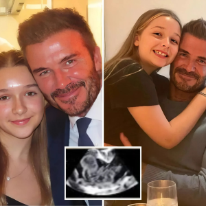 La hija de 17 años de David Beckham, Harper, estaría embarazada, pero sorprendentemente revela que el verdadero padre del bebé es